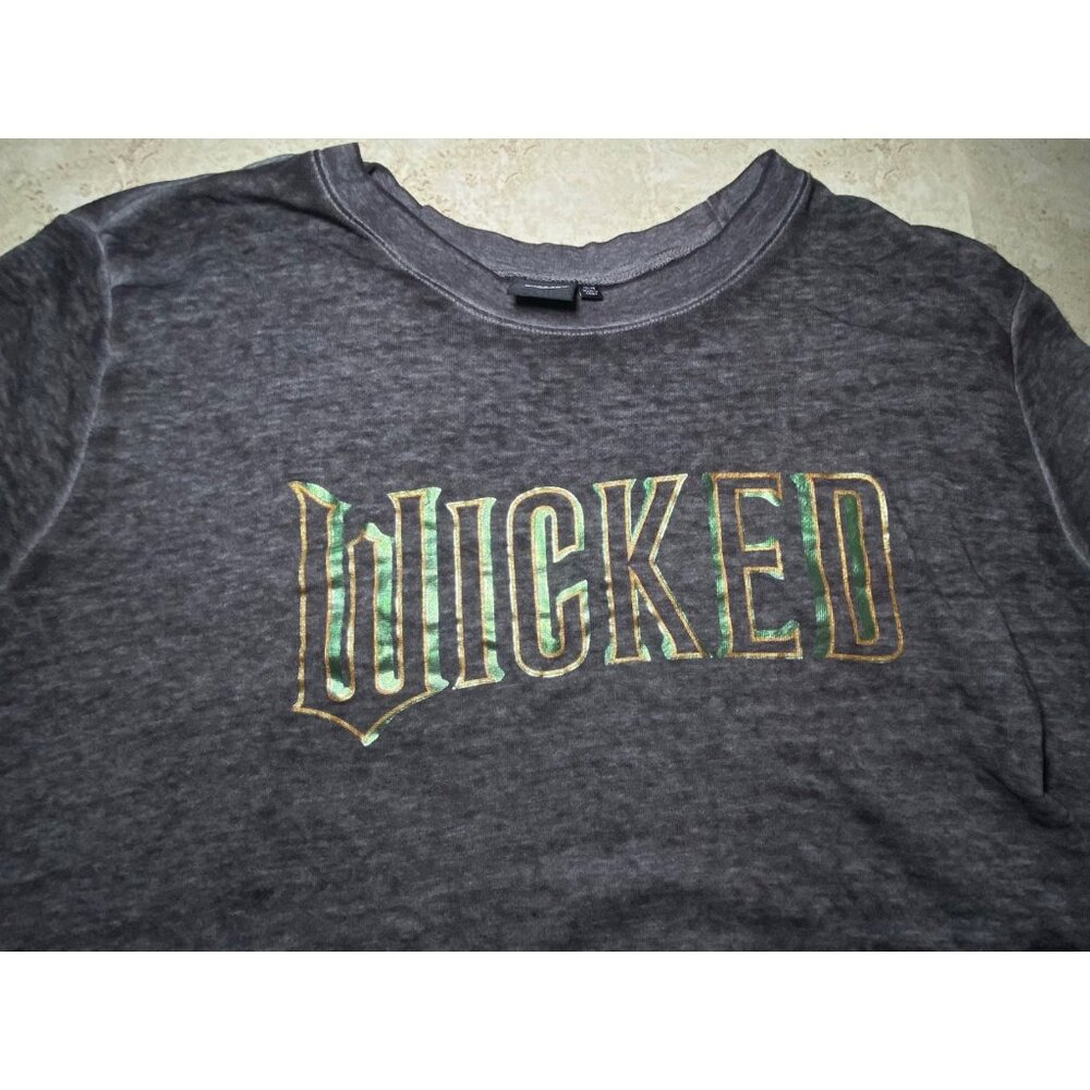 Wicked Graphic Gray Tshirt Womens Size 22/24 Long Sleeve Crew Neck